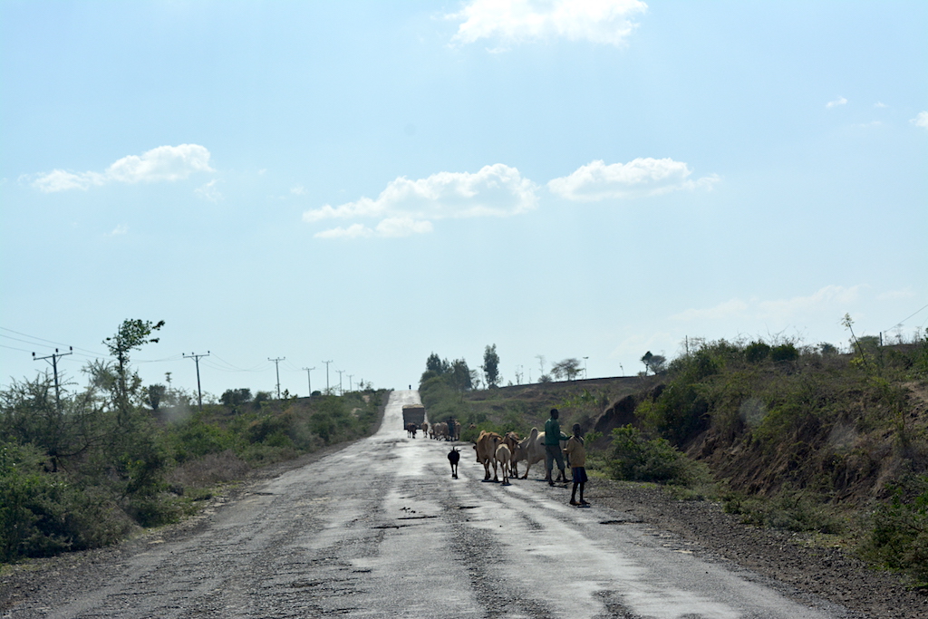 camino_mercado_etiopia